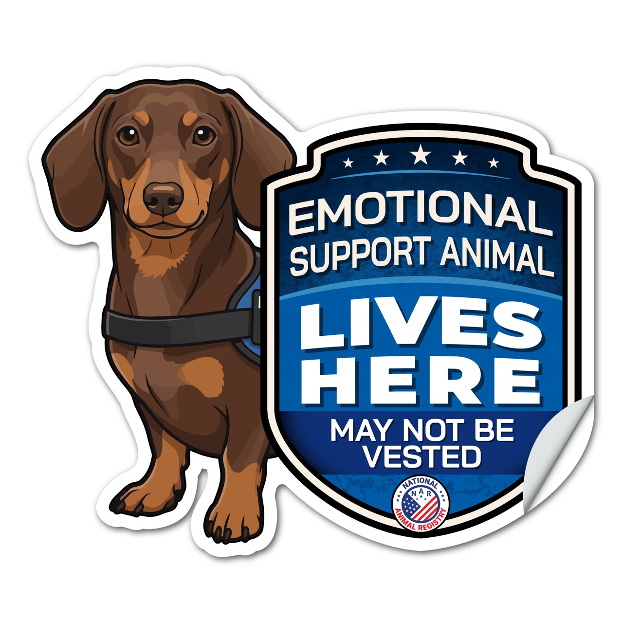 Emotional Support Animal Lives Here Dachshund Sticker – ESA Dog Warning Decal – May Not Be Vested – Weatherproof Vinyl