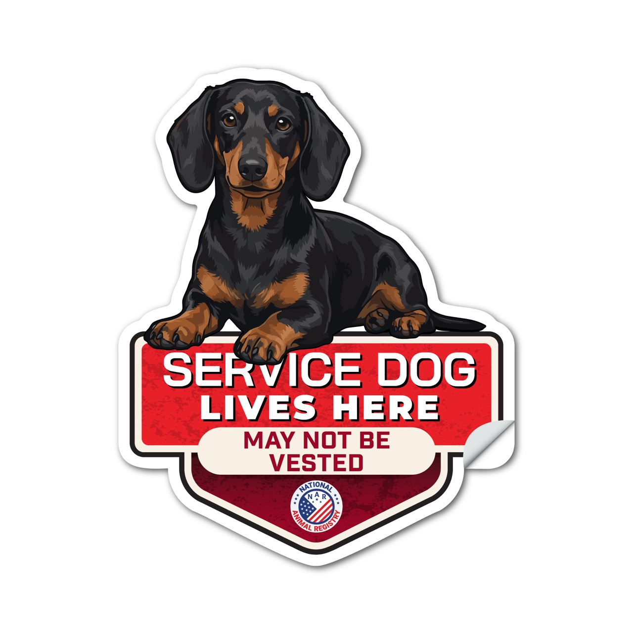 Dachshund Service Dog Lives Here Sticker No Vest – SD Dog Sign Decal – May Not Be Vested – Waterproof Matte Vinyl