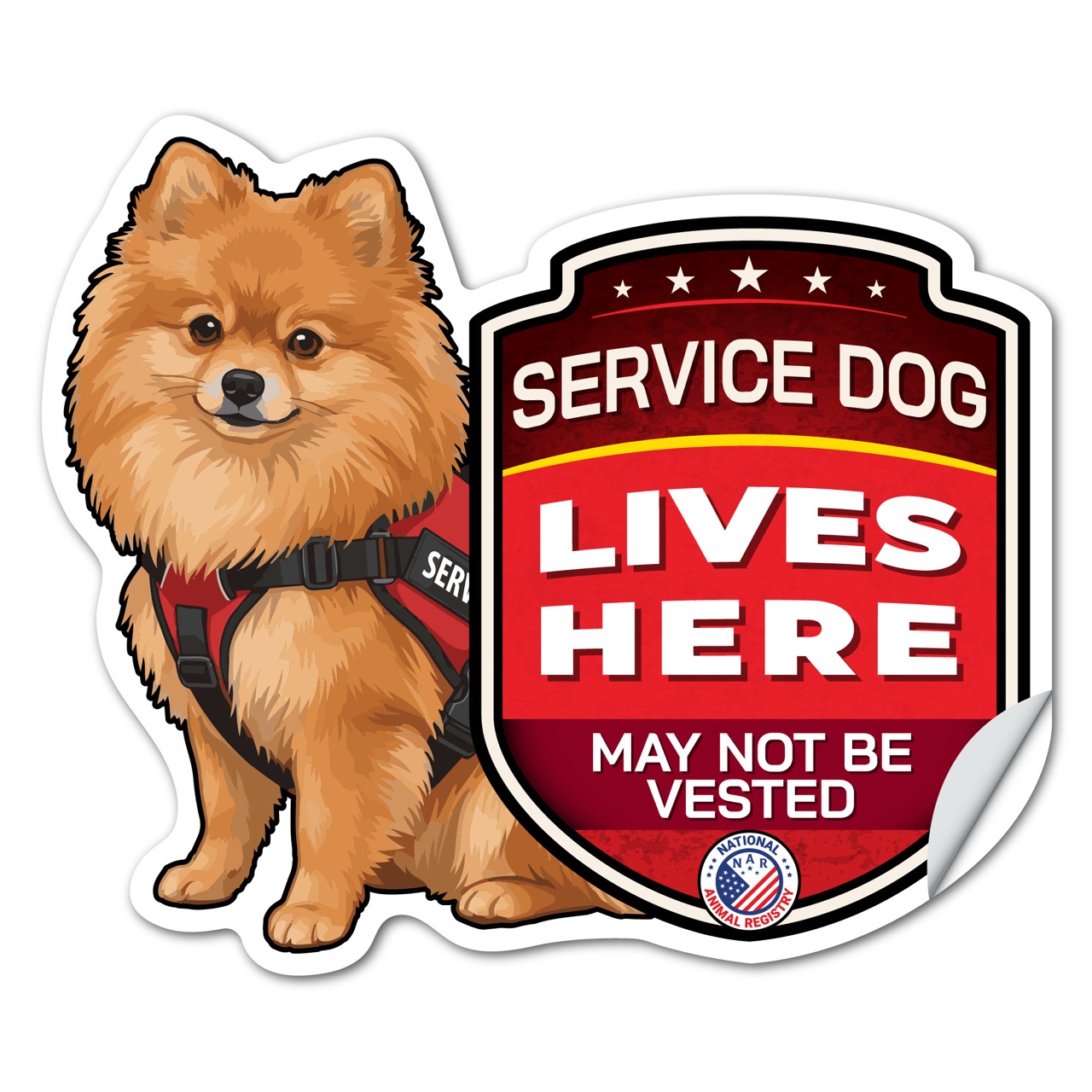 Pomeranian Service Dog Lives Here Sticker – SD Dog Sign Decal – May Not Be Vested – Waterproof Matte Vinyl