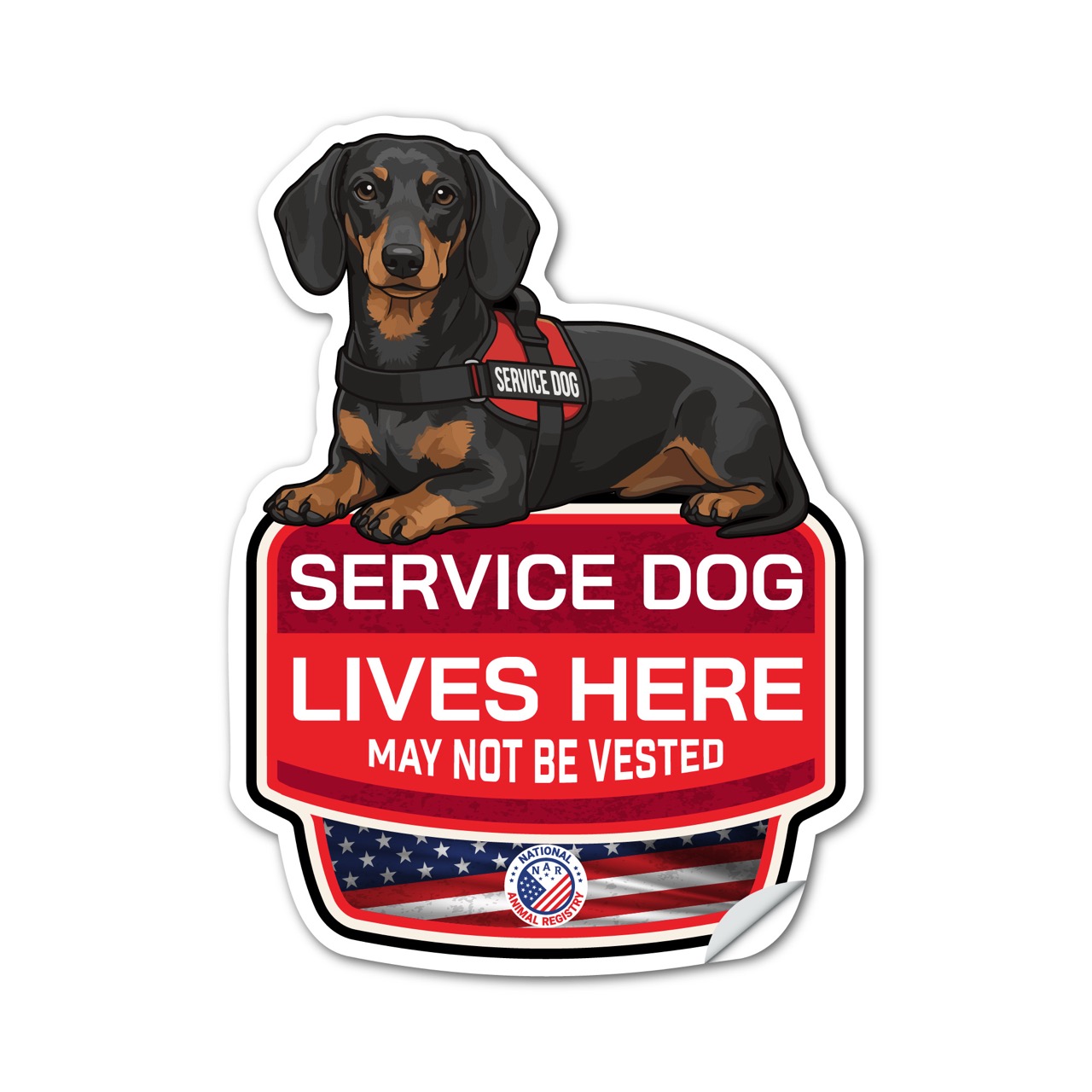 Dachshund Service Dog Lives Here Sticker – SD Dog Sign Decal – May Not Be Vested – Waterproof Matte Vinyl